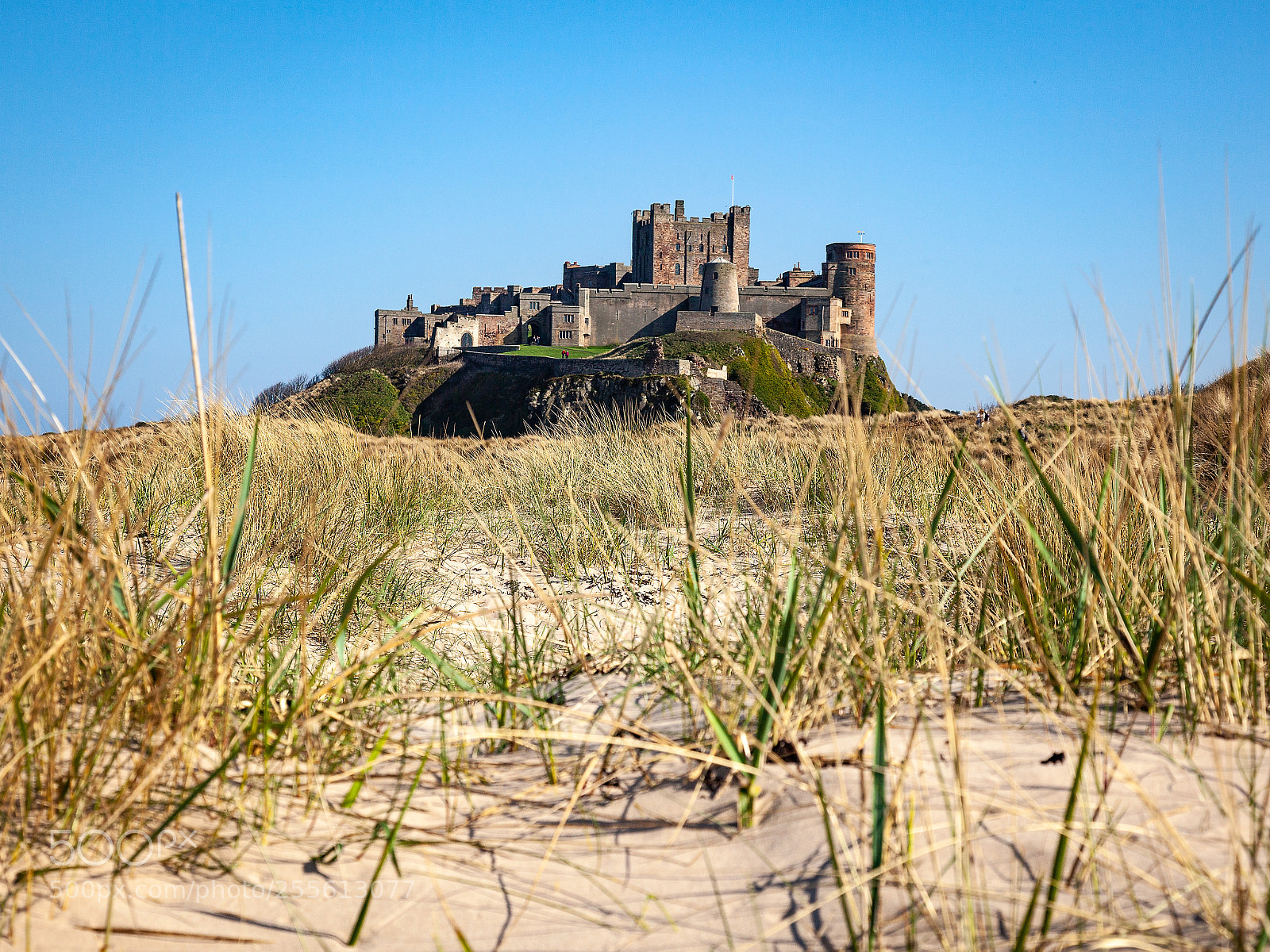 Canon EOS 5D Mark II sample photo. Bamburgh castle photography