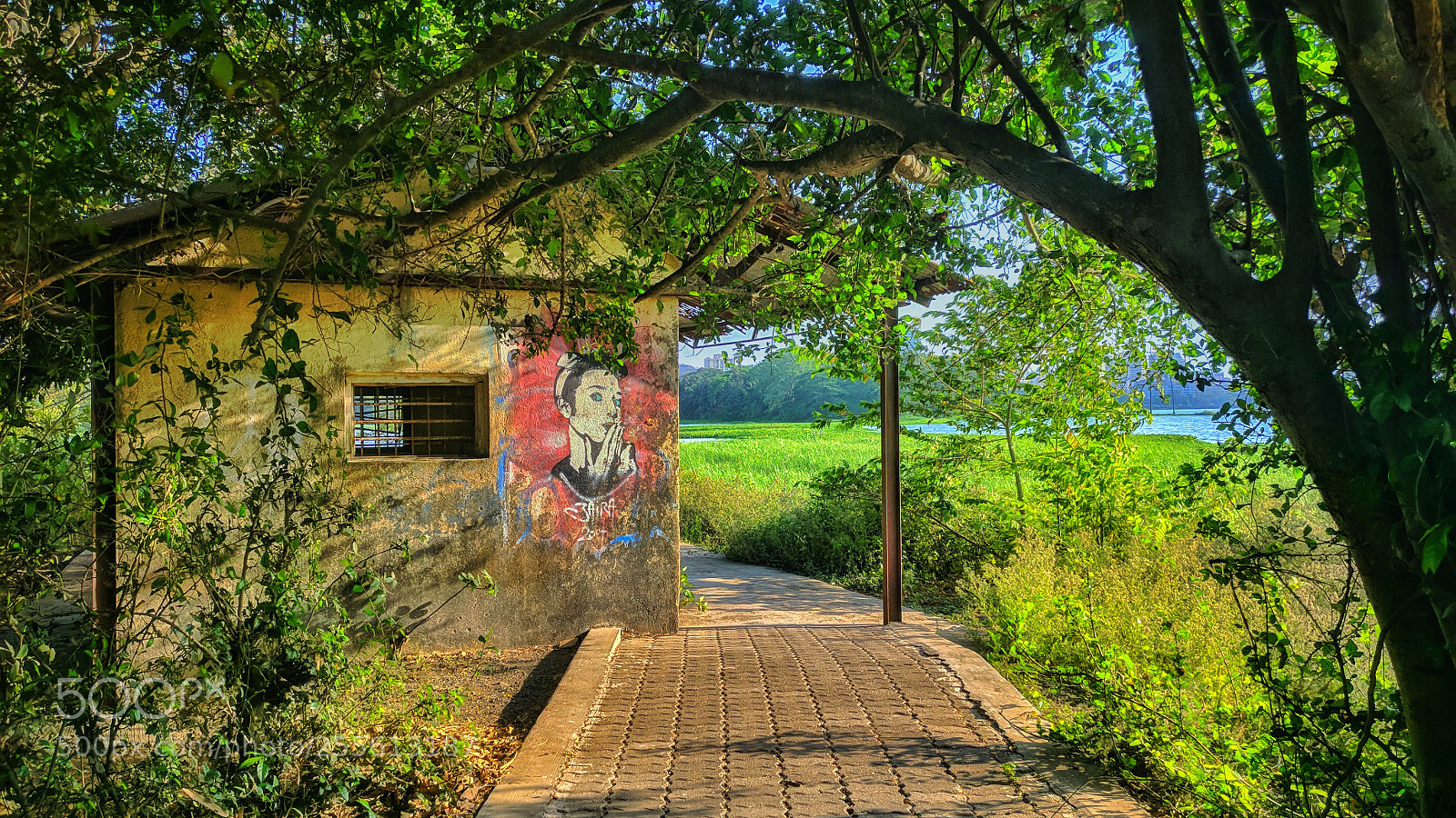 OnePlus A3003 sample photo. Graffiti photography