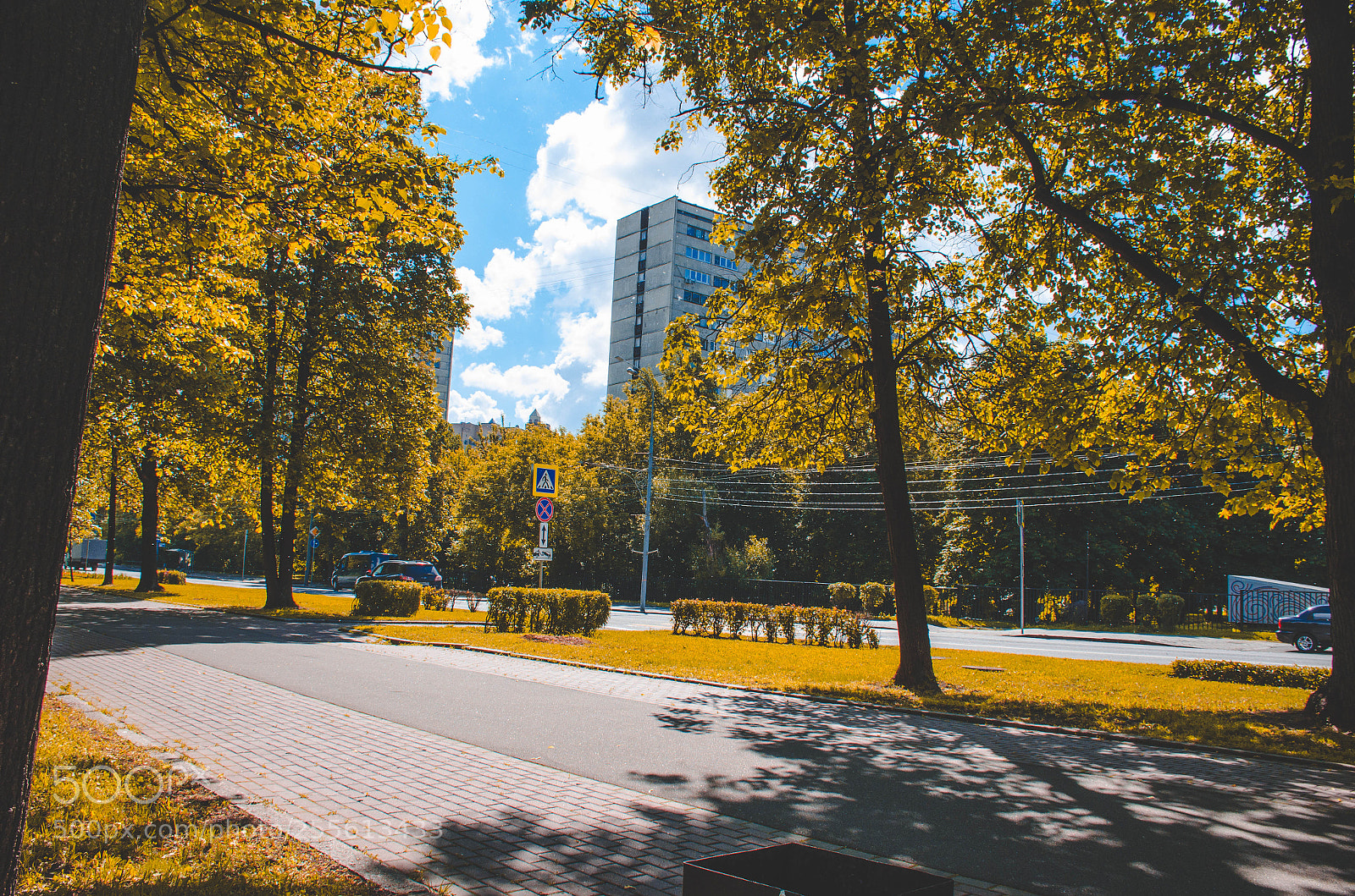 Nikon D7000 sample photo. Nature photography