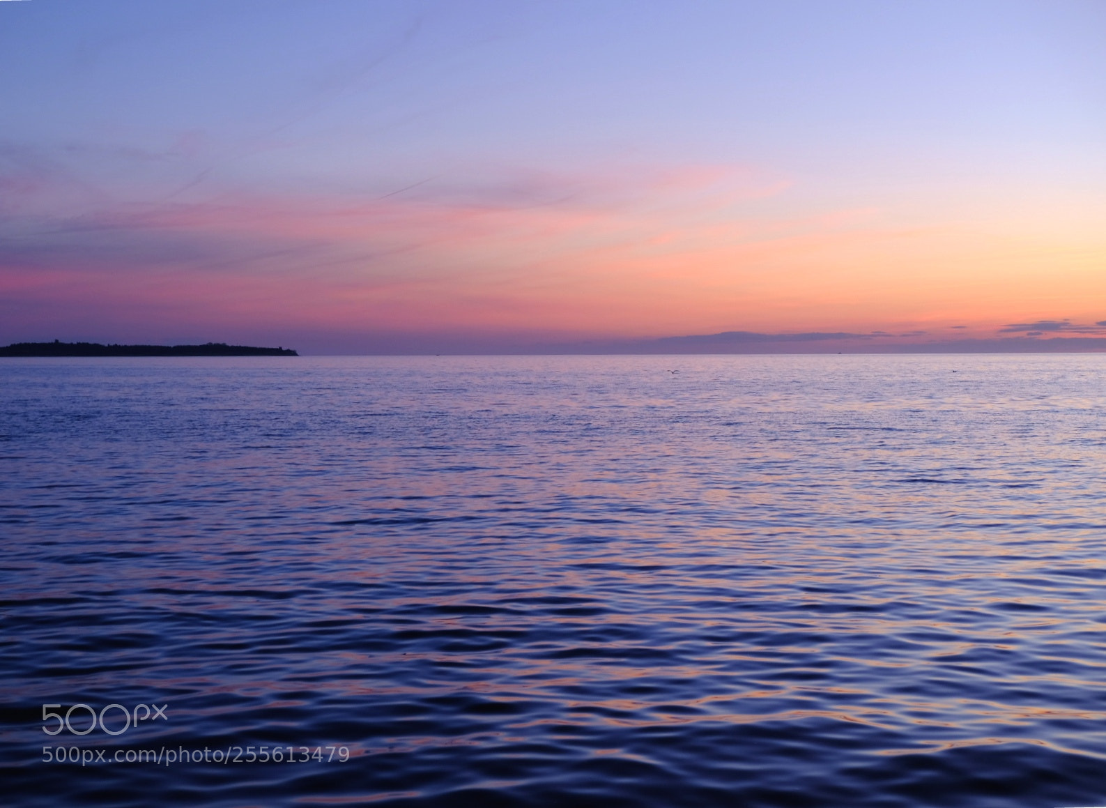 Fujifilm X-E3 sample photo. Dreaming photography