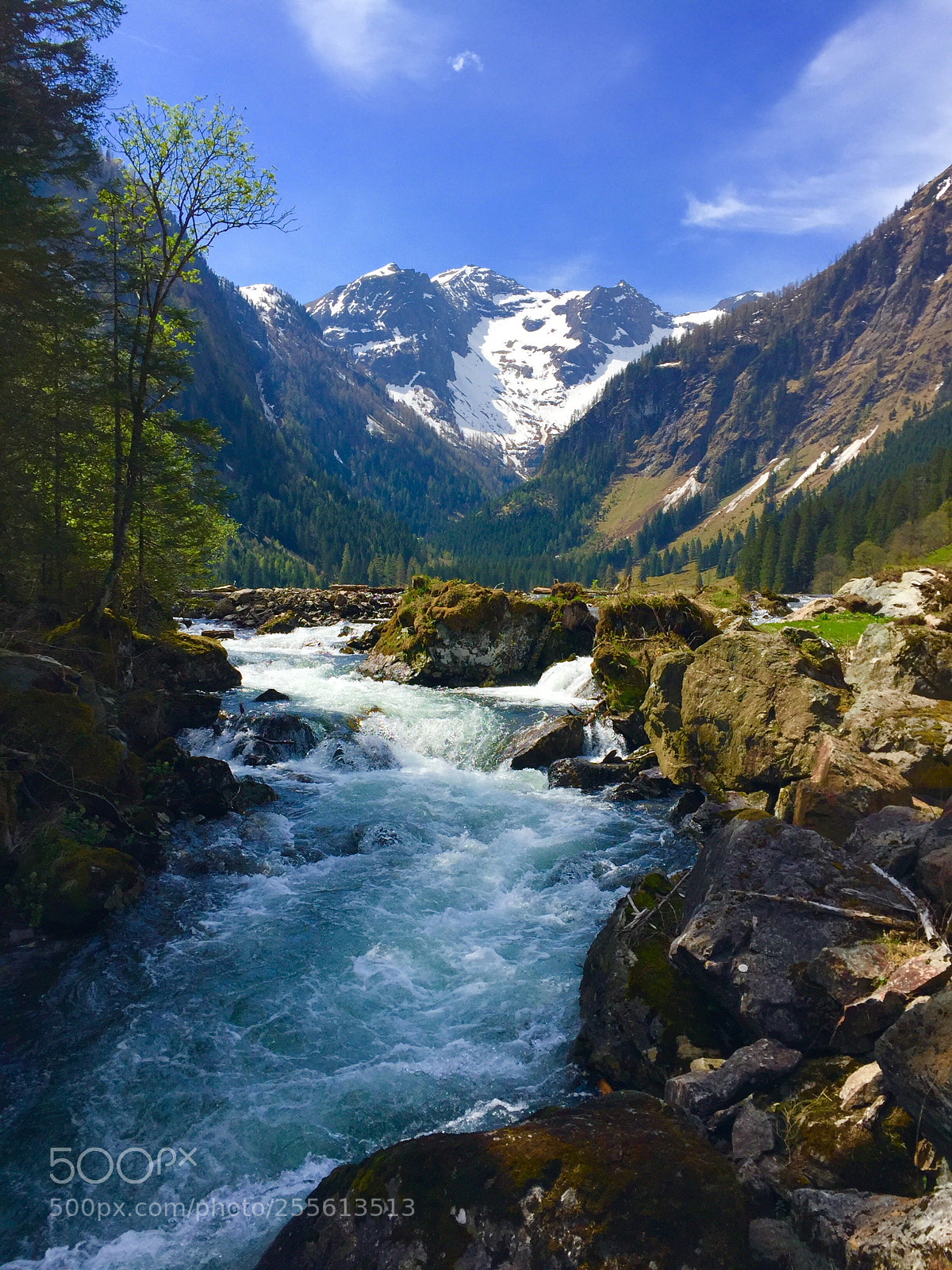 Apple iPhone 6 sample photo. Lake schwarzensee photography