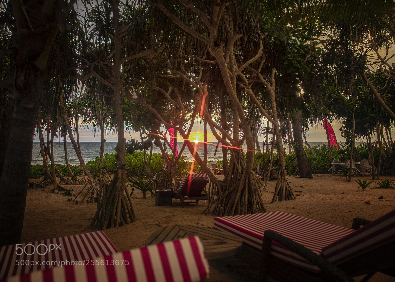 Canon EOS 5D Mark IV sample photo. Untitled photography