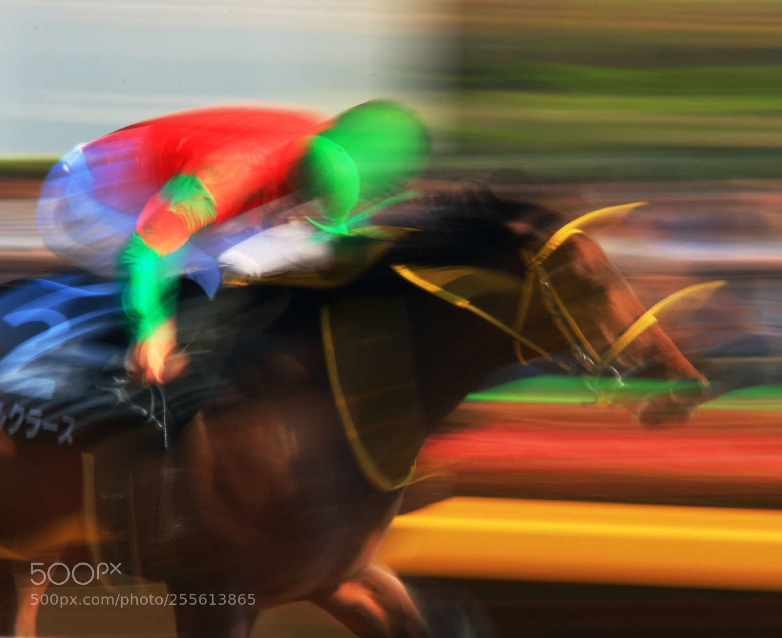Canon EOS 7D Mark II sample photo. Horse race photography