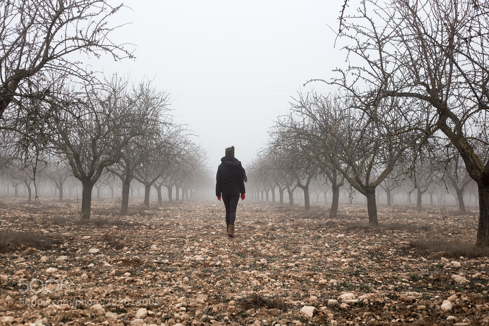 Canon EOS 6D sample photo. Foggy photography