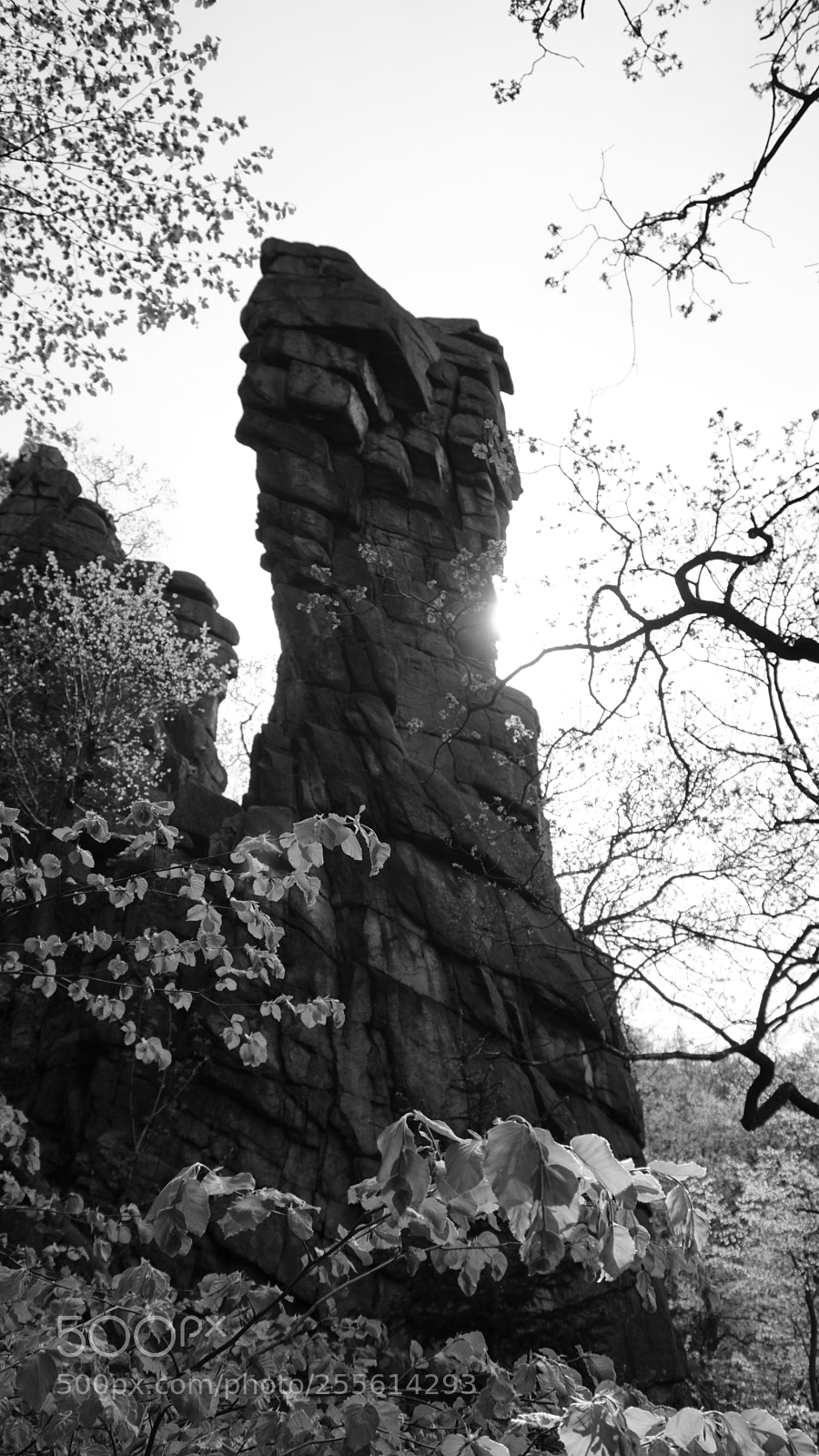 Sony a6000 sample photo. Rock - national park photography