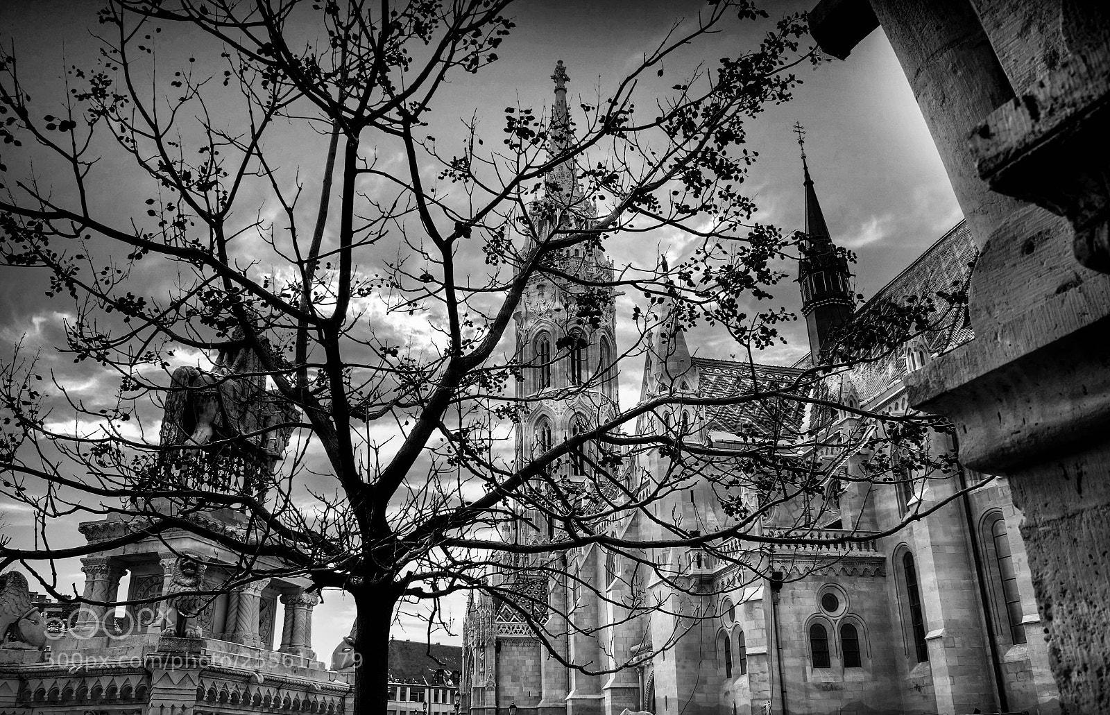 Canon EOS 550D (EOS Rebel T2i / EOS Kiss X4) sample photo. Budapest b&w photography