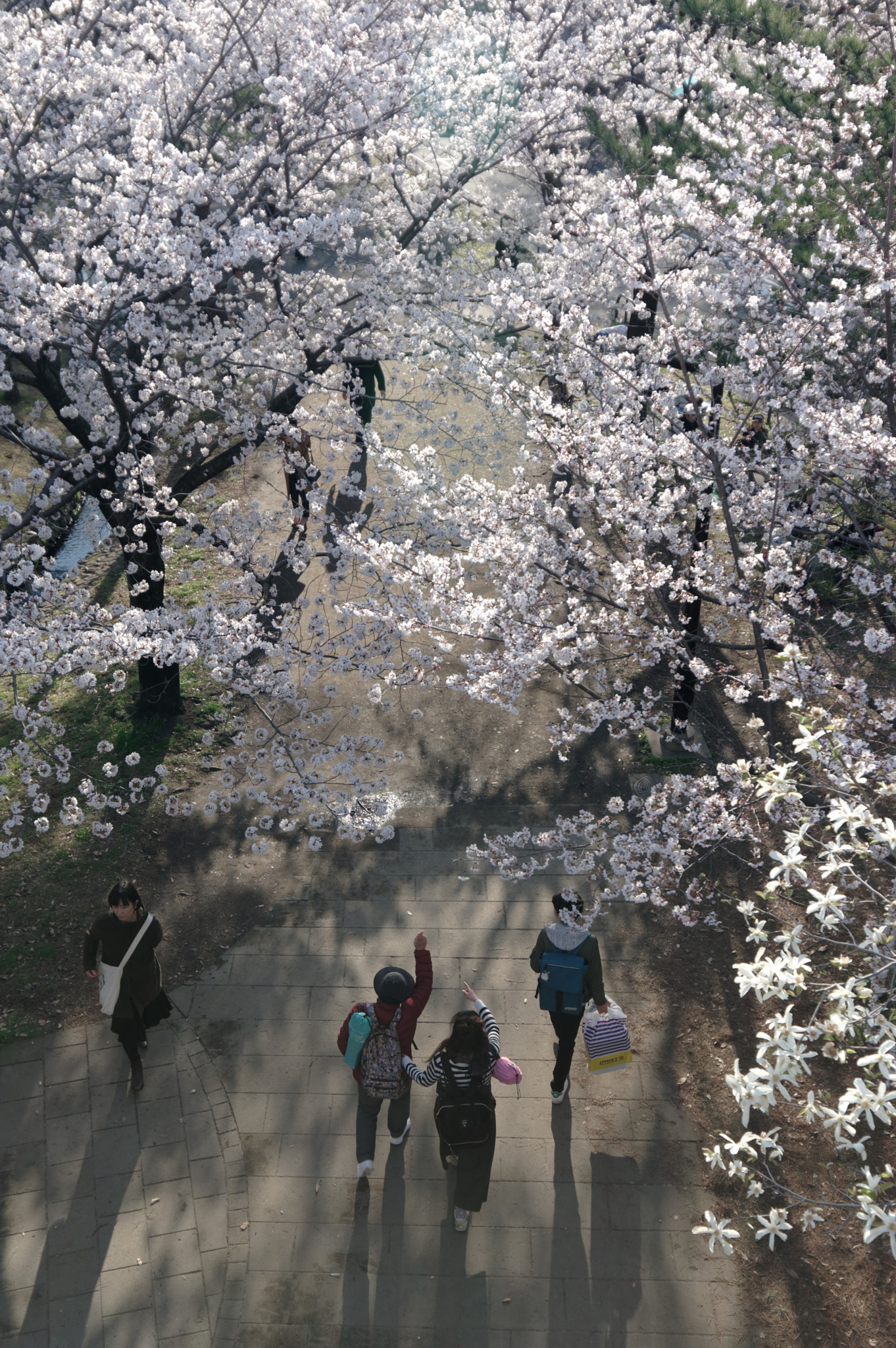 Pentax smc DA 12-24mm F4.0 ED AL (IF) sample photo. Spring photography