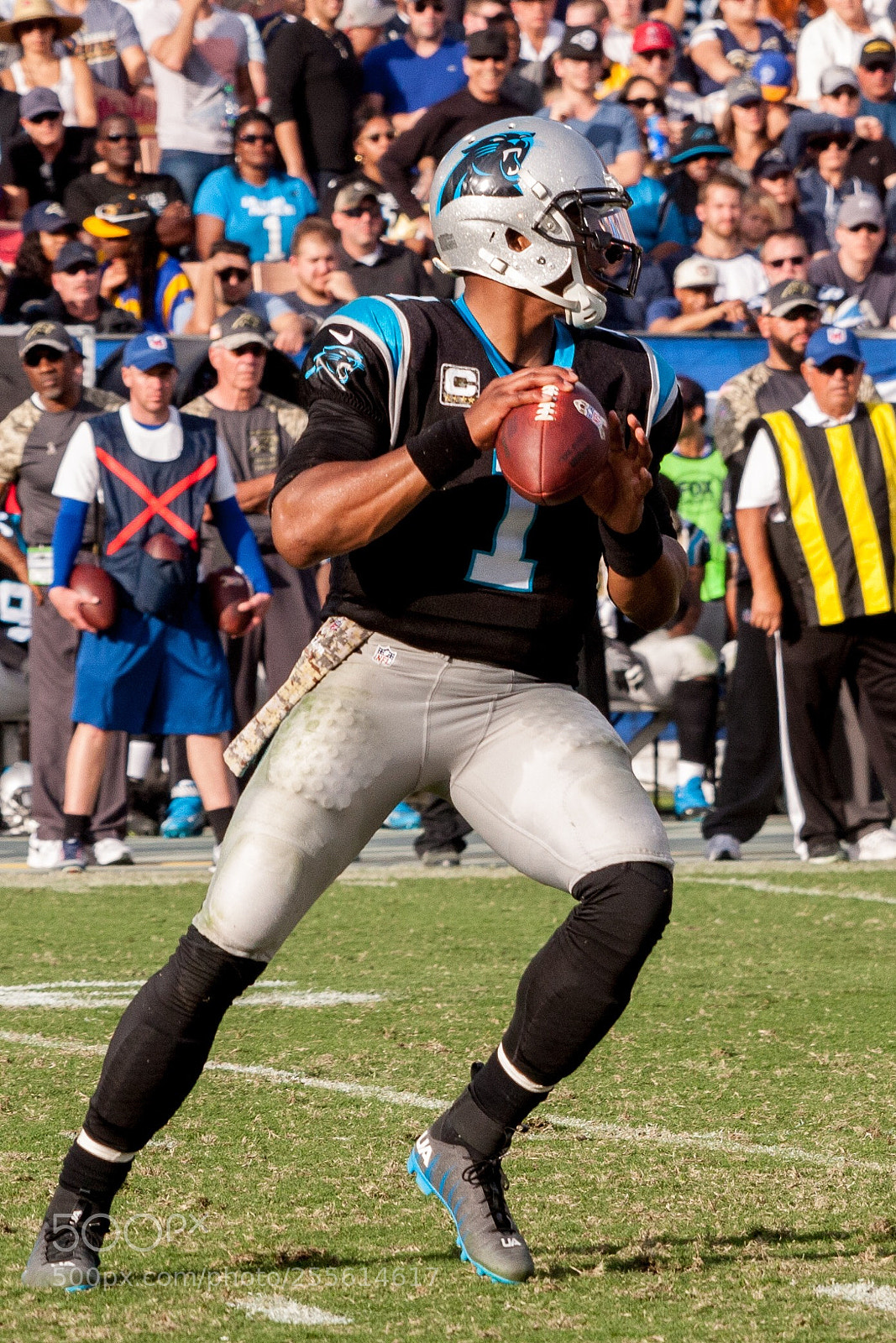 Canon EOS-1D Mark III sample photo. Cam newton photography