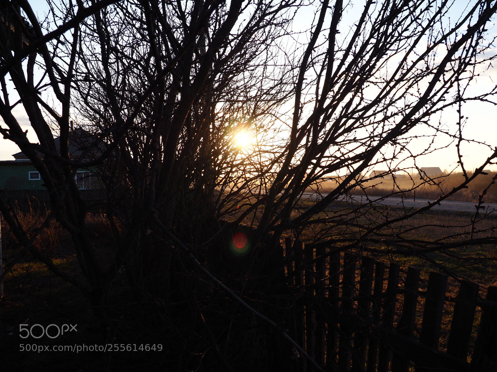 Olympus OM-D E-M10 II sample photo. закат в саду photography
