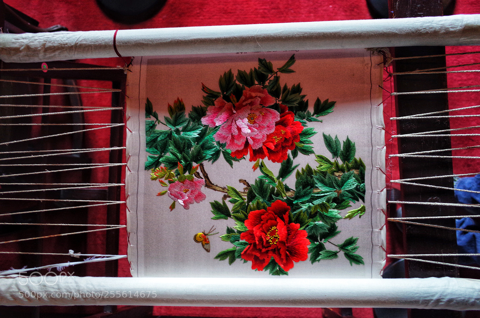 Ricoh GR II sample photo. The embroidery in carving photography