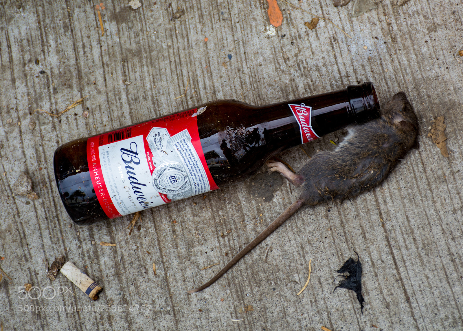 Nikon D5200 sample photo. Drugs are bad photography
