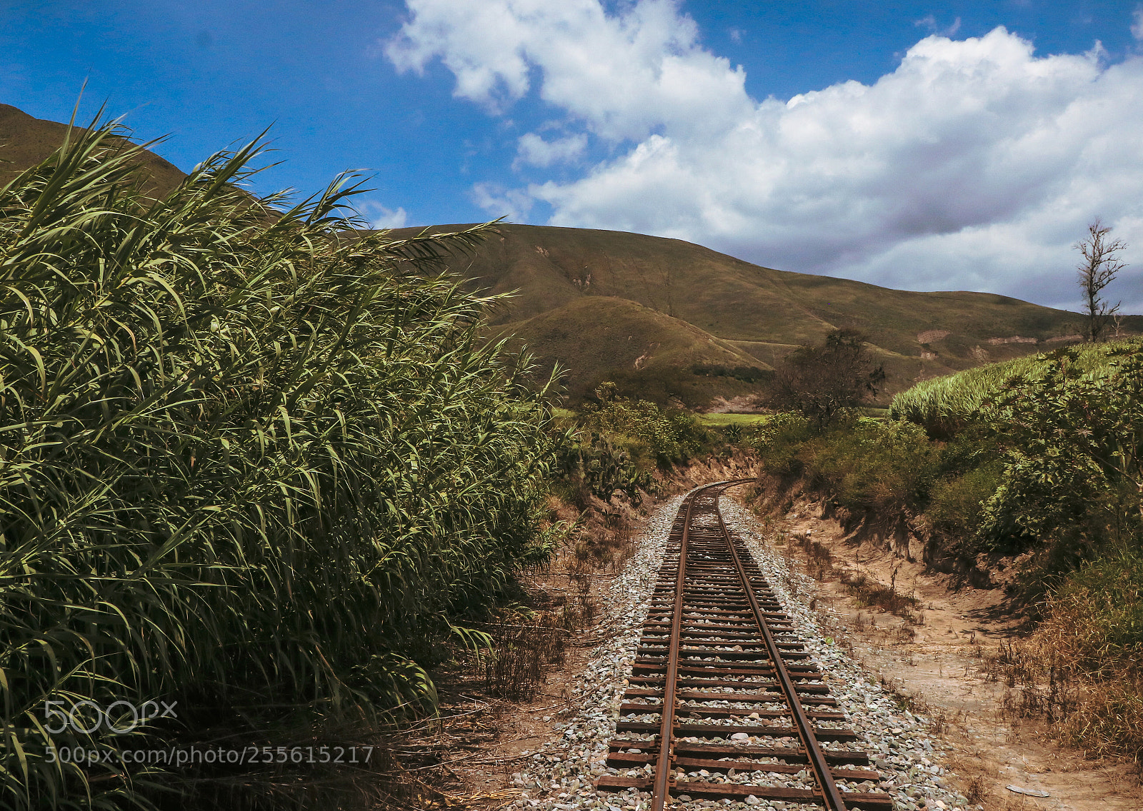 Canon EOS 80D sample photo. Train  photography