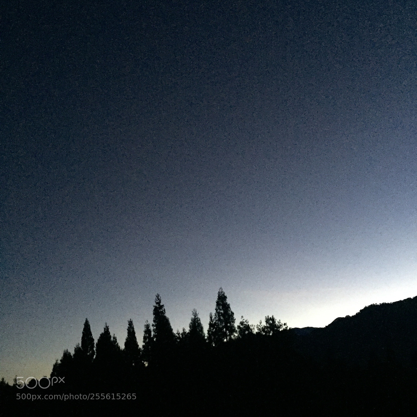 Apple iPhone 6 sample photo. 高山上的清晨特別的清淨，通透人心 photography