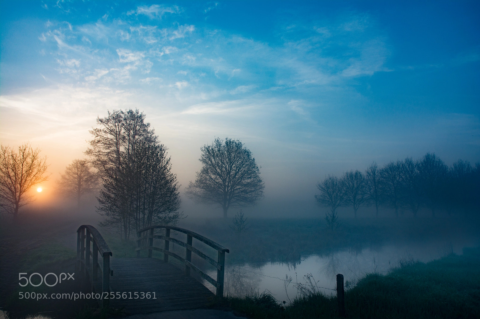 Nikon D7100 sample photo. Fog at the ruiten photography