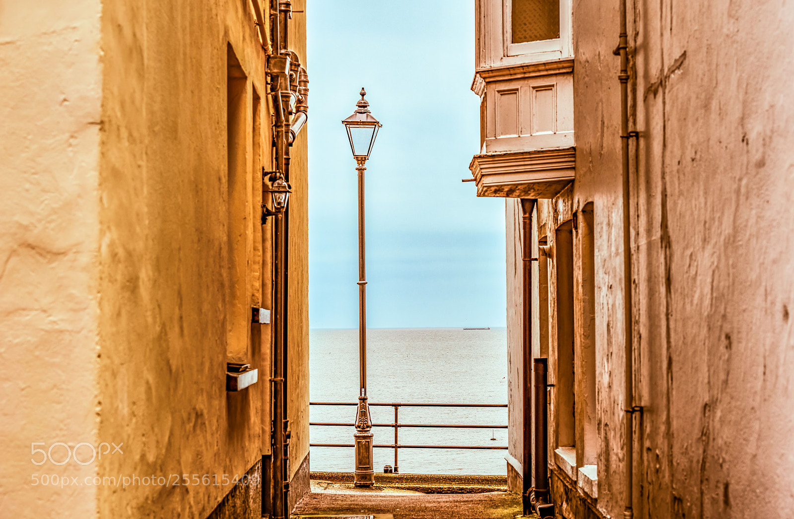 Nikon D810 sample photo. See sea light photography