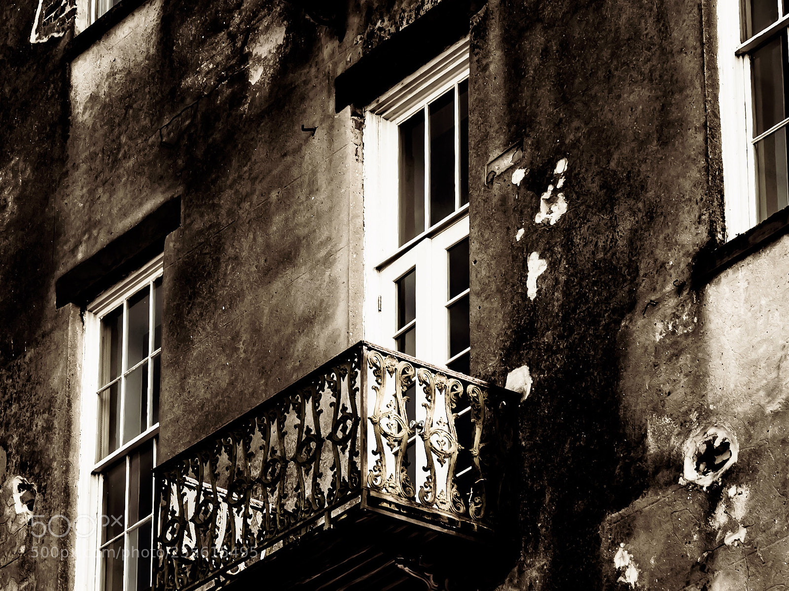 Nikon D5500 sample photo. Windows of savannah  photography