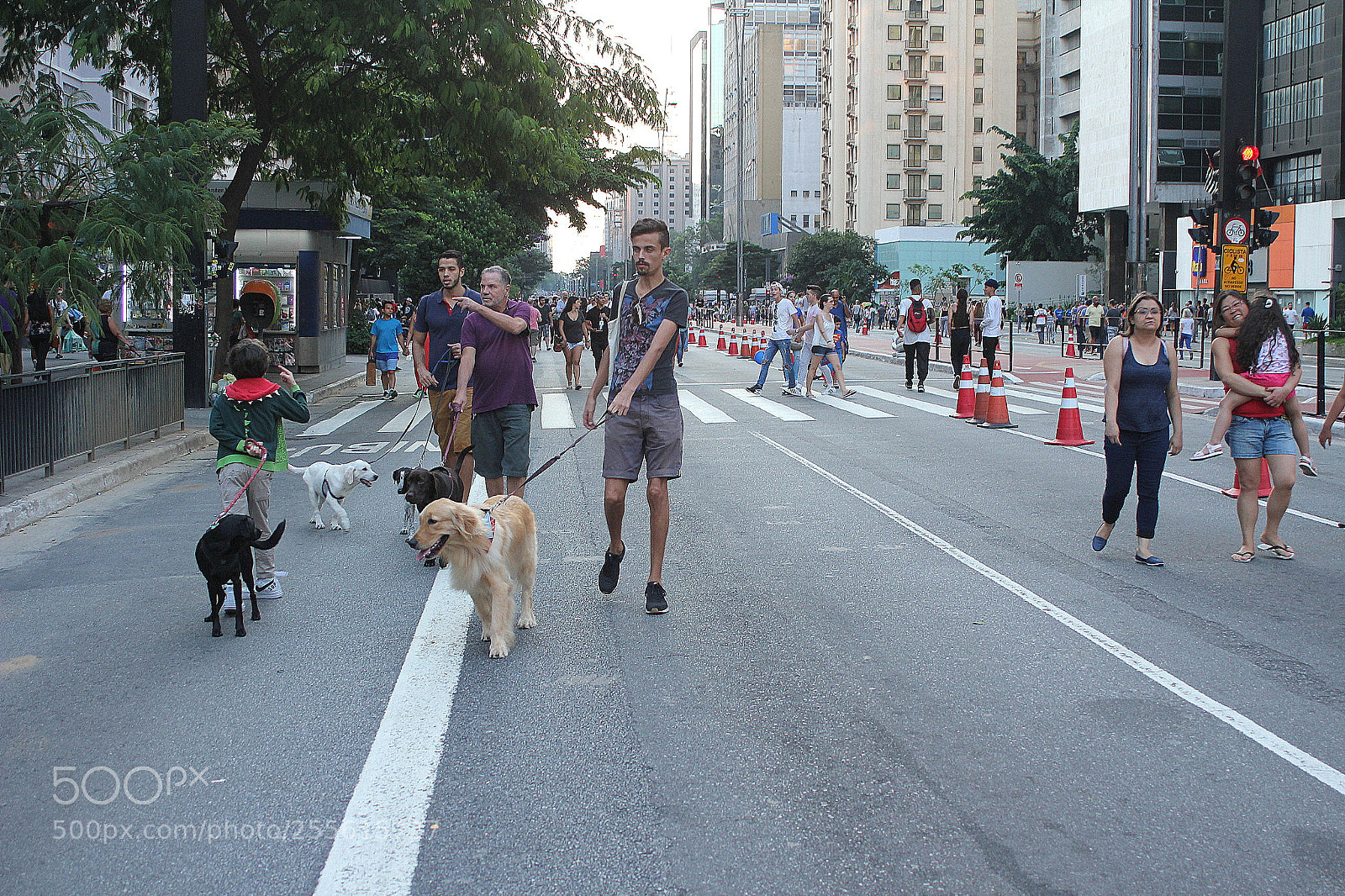 Canon EF 28-80mm f/3.5-5.6 sample photo. Av. paulista photography