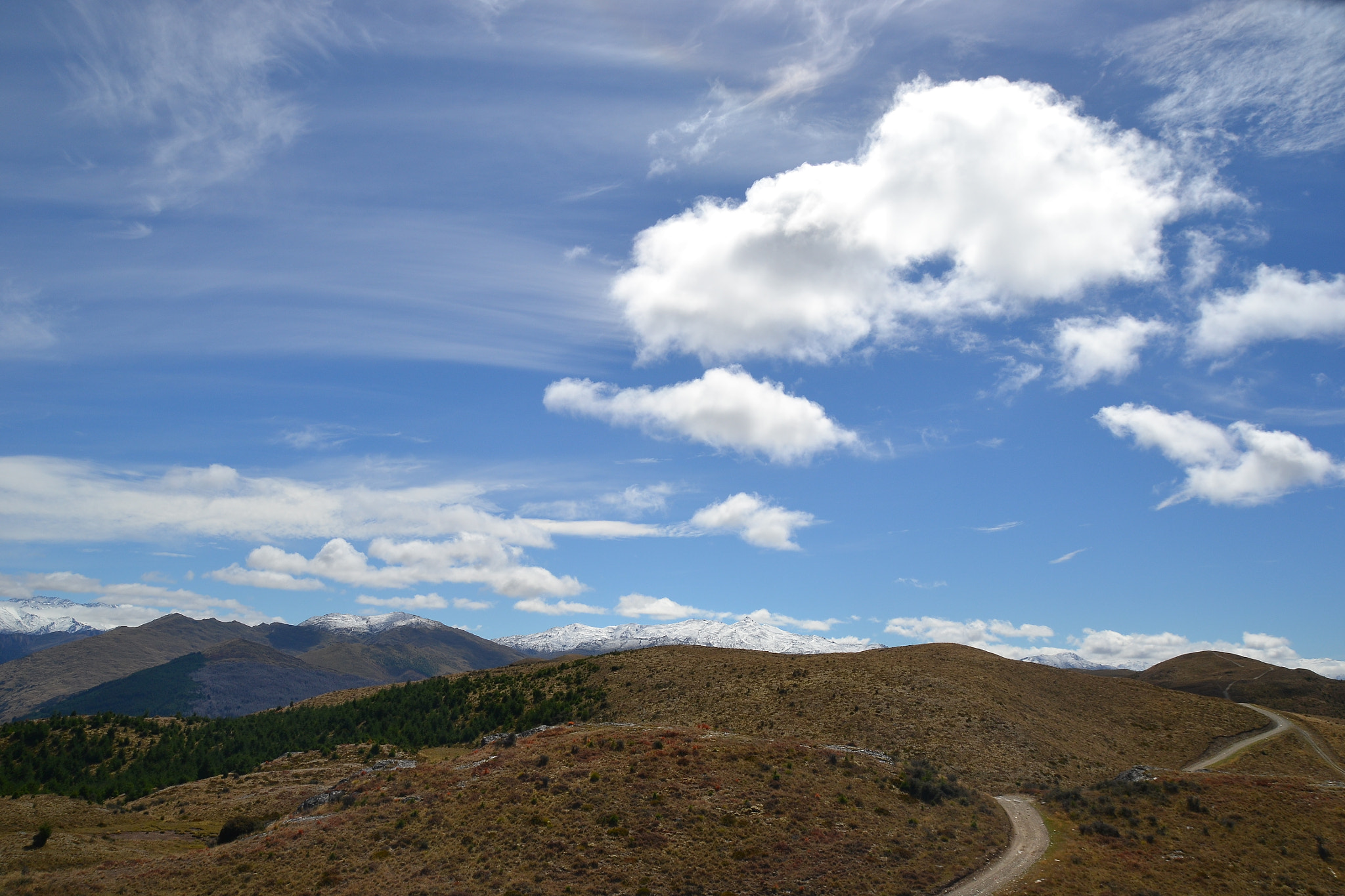 Sigma 18-250mm F3.5-6.3 DC Macro OS HSM sample photo. Nz photography