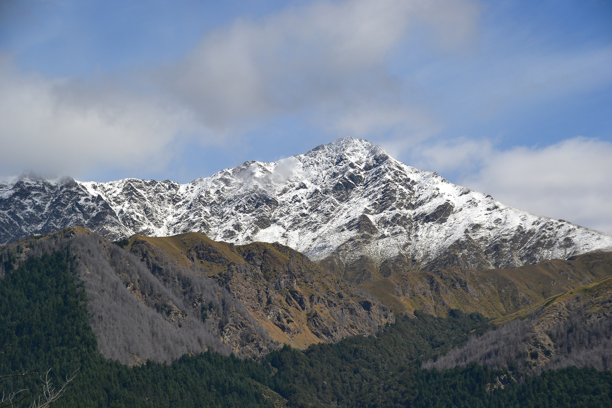 Sigma 18-250mm F3.5-6.3 DC Macro OS HSM sample photo. Nz photography
