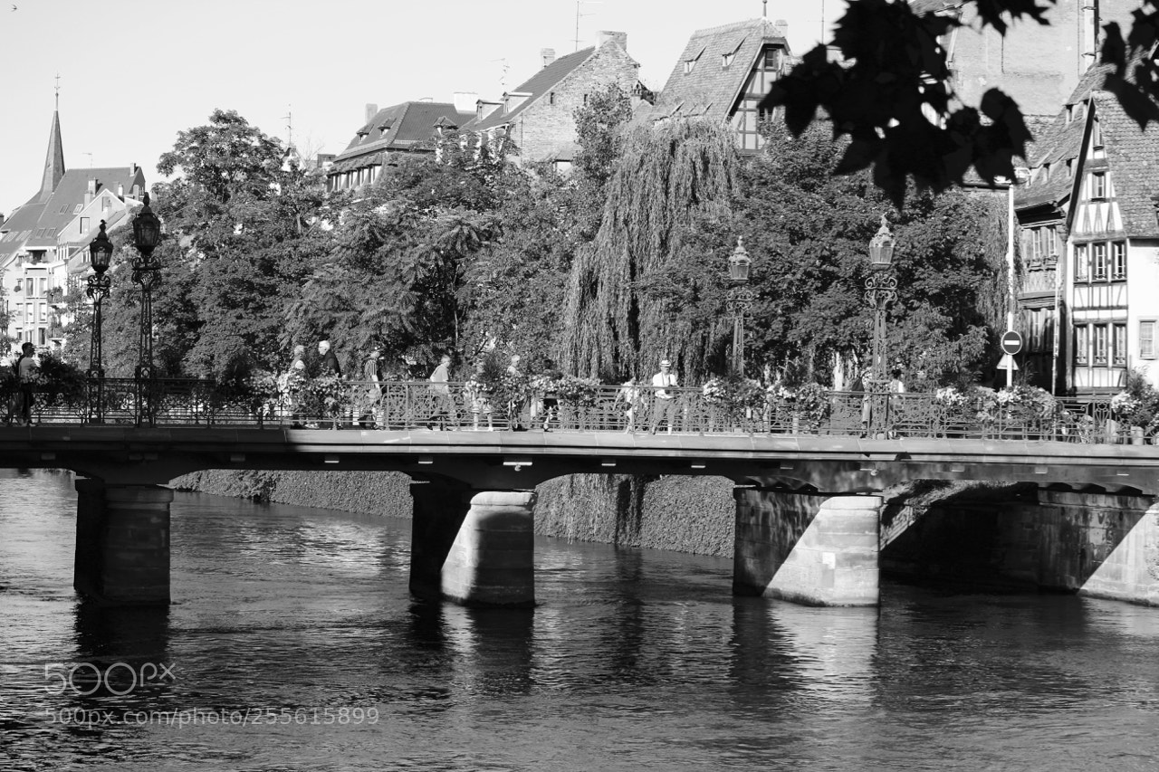 Canon EOS 100D (EOS Rebel SL1 / EOS Kiss X7) sample photo. French bridge photography