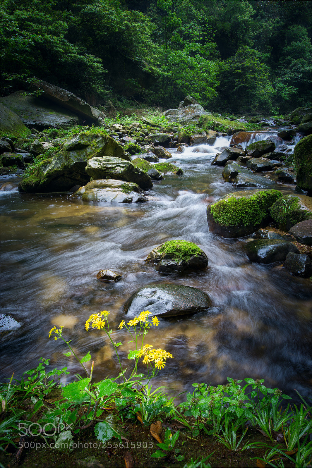 Canon EOS 6D sample photo. Untitled photography