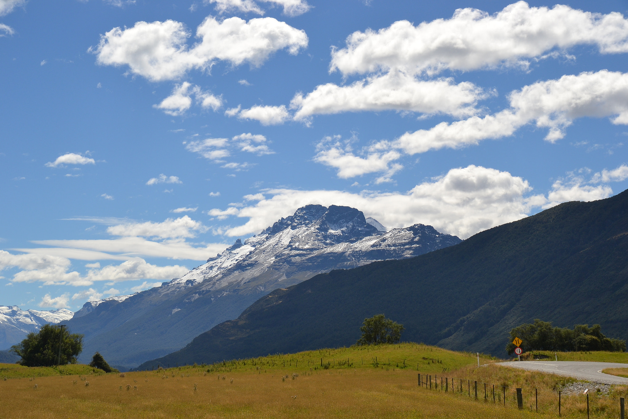 Sigma 18-250mm F3.5-6.3 DC Macro OS HSM sample photo. Nz photography