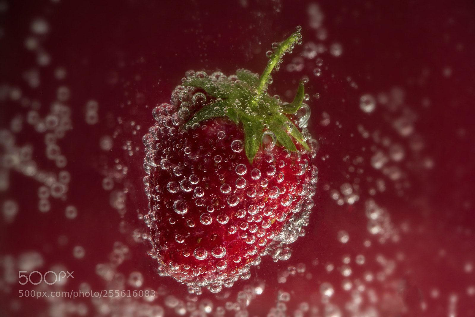 Nikon D850 sample photo. Fragola-frizz.. photography