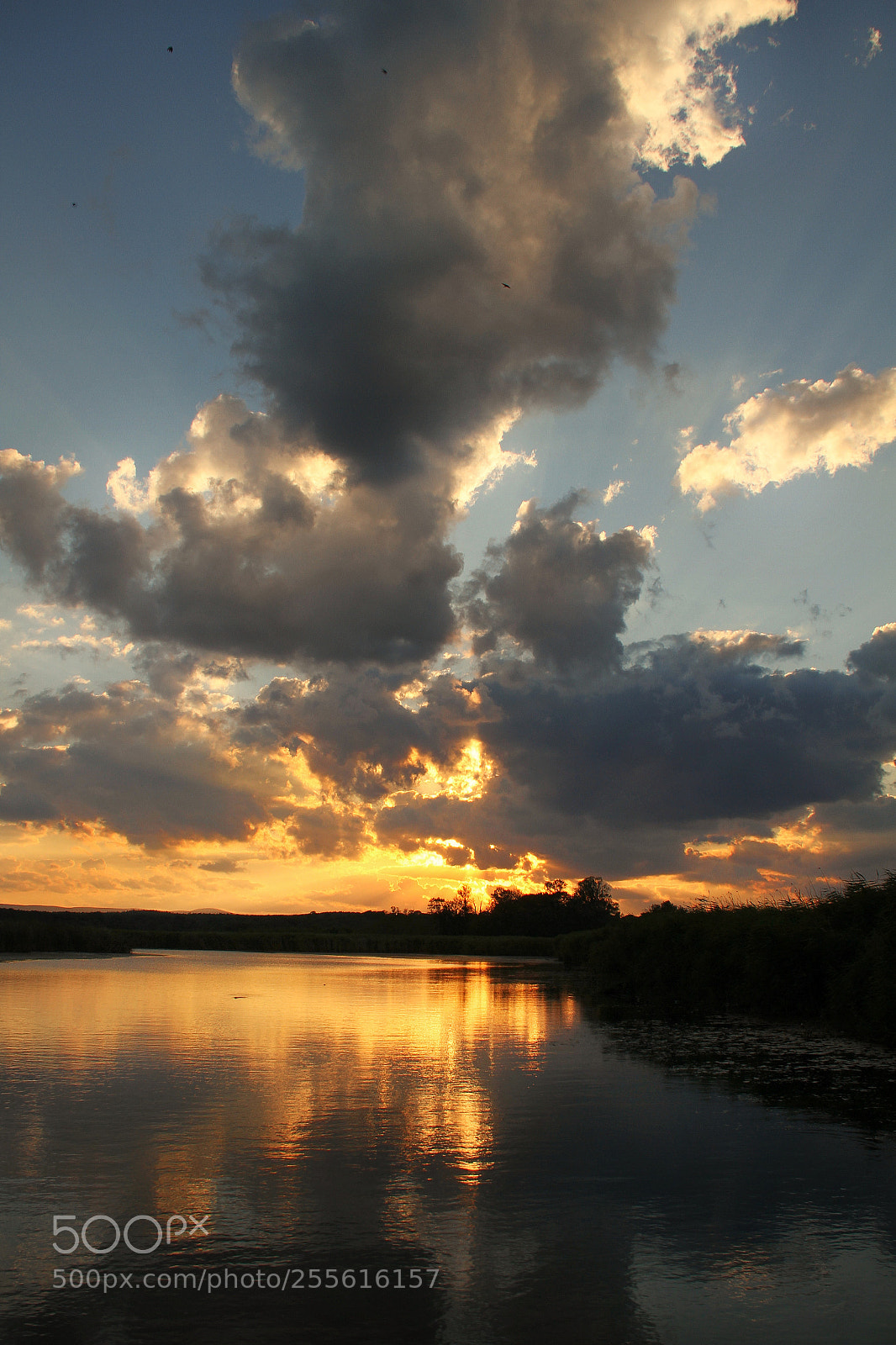 Canon EOS 7D sample photo. Untitled photography