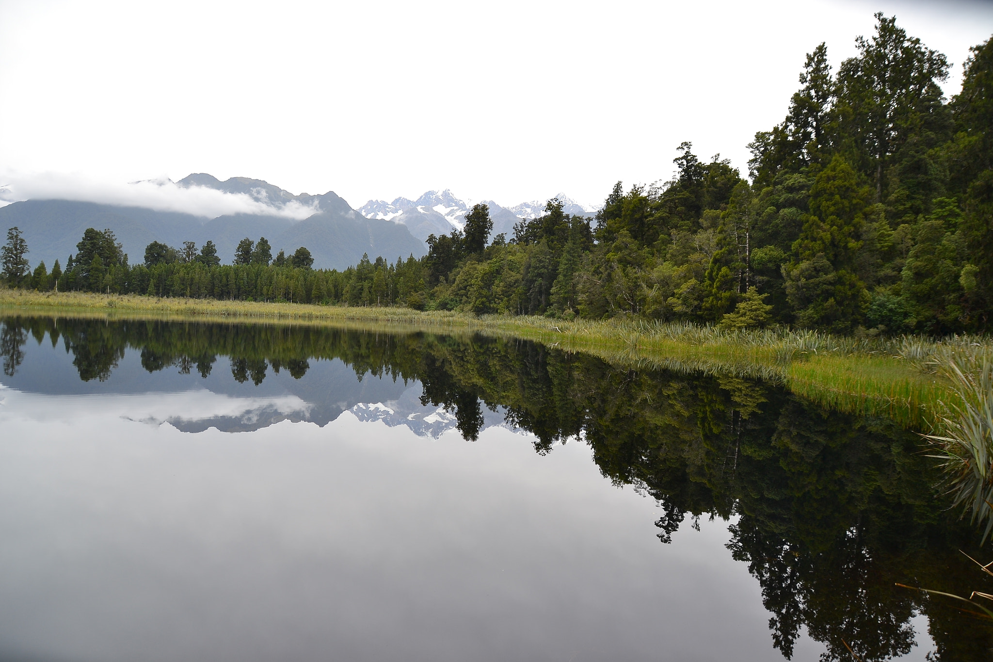 Sigma 18-250mm F3.5-6.3 DC Macro OS HSM sample photo. Nz photography