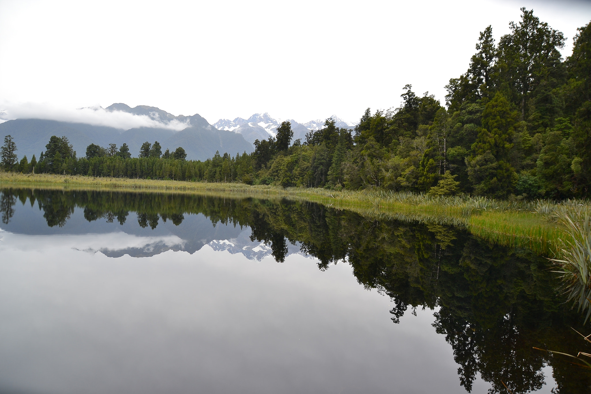 Nikon D3100 + Sigma 18-250mm F3.5-6.3 DC Macro OS HSM sample photo. Nz photography