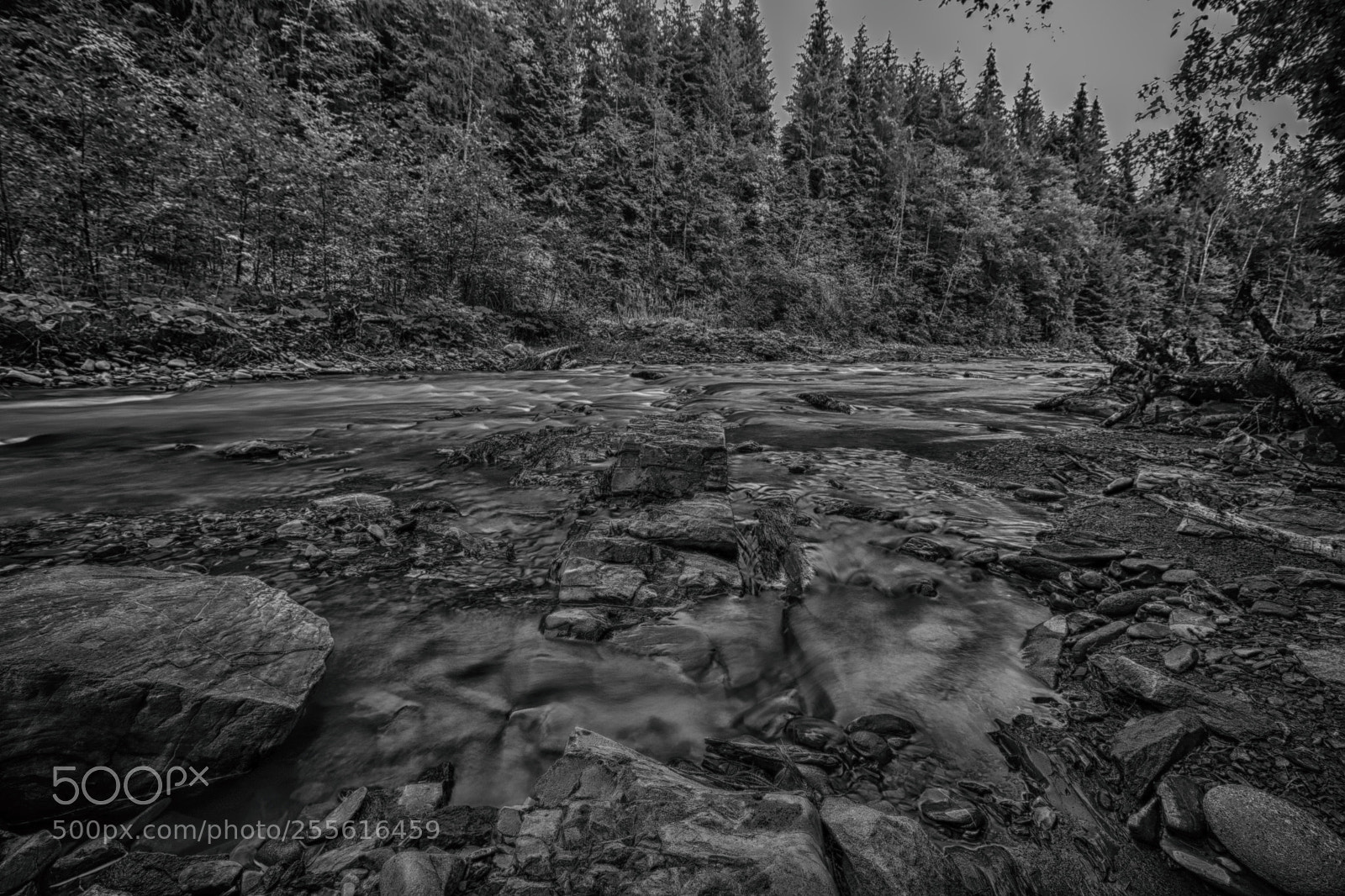 Canon EOS 7D Mark II sample photo. Mountain river photography