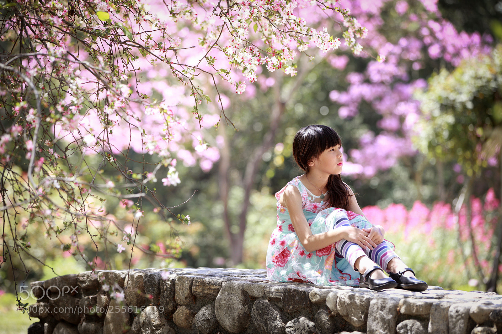 Canon EOS-1D X sample photo. Hq photography