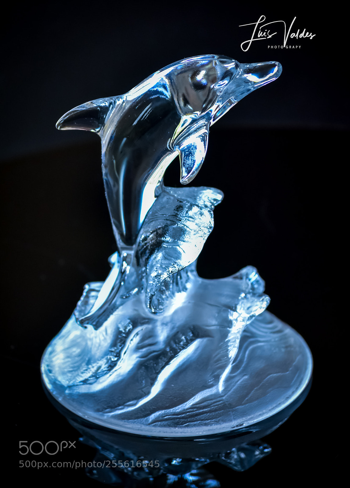 Nikon D7200 sample photo. Cristal photography
