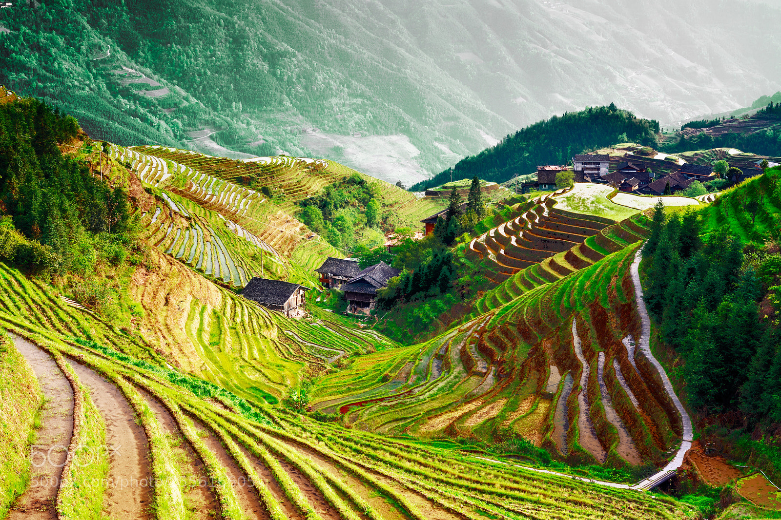Sony a7R III sample photo. Guilin china photography