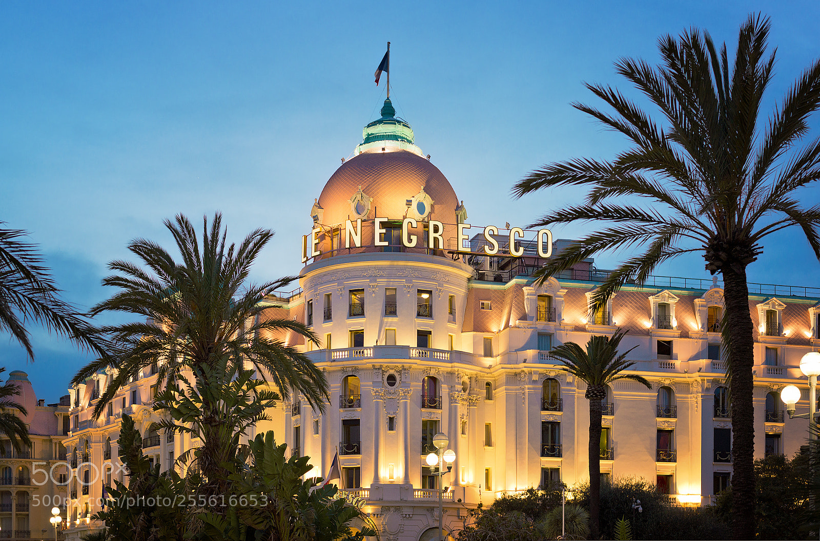 Nikon D610 sample photo. Le negresco photography