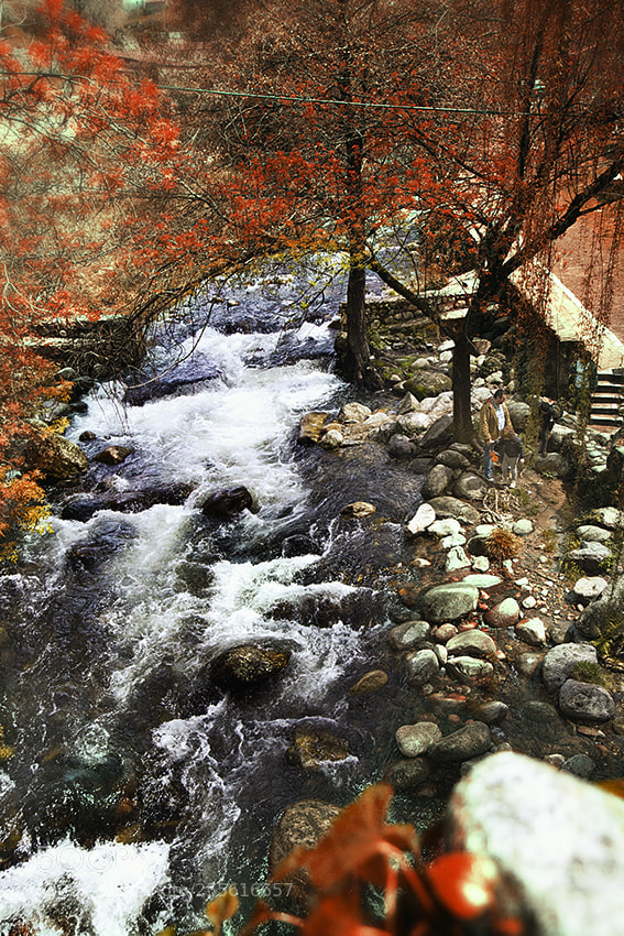 Canon EOS 60D sample photo. Desde el puente photography