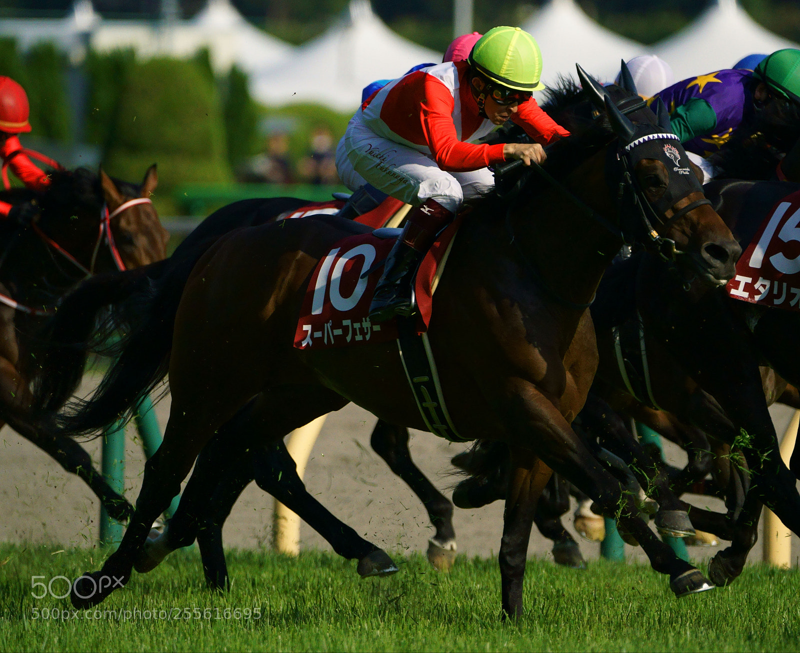 Sony a9 sample photo. Horse race photography