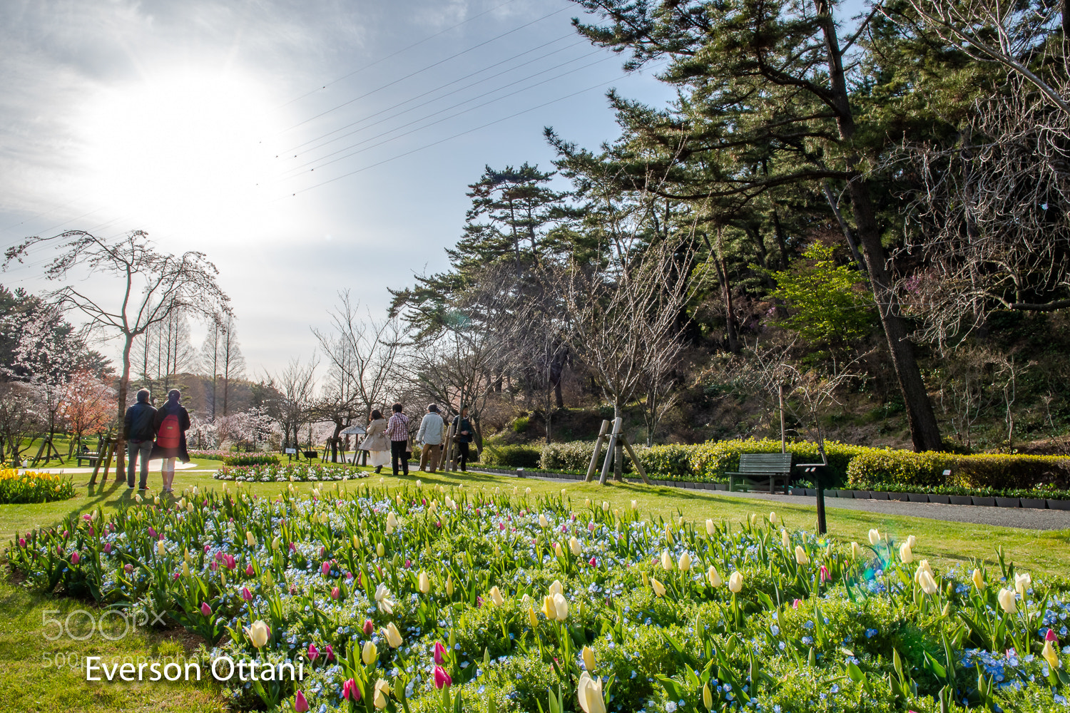 Nikon D500 sample photo. New solar energy photography