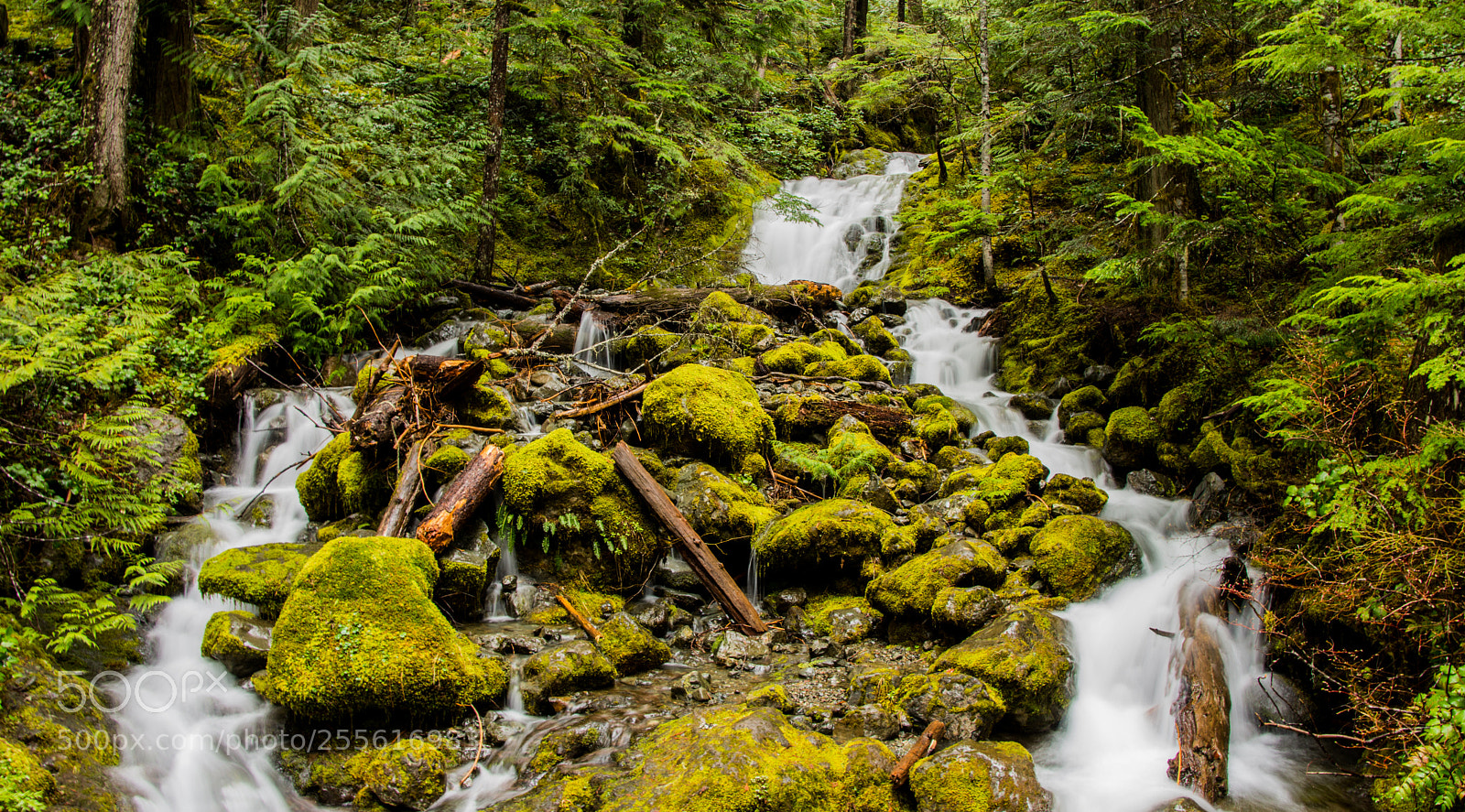 Nikon D7200 sample photo. The trail to lena photography