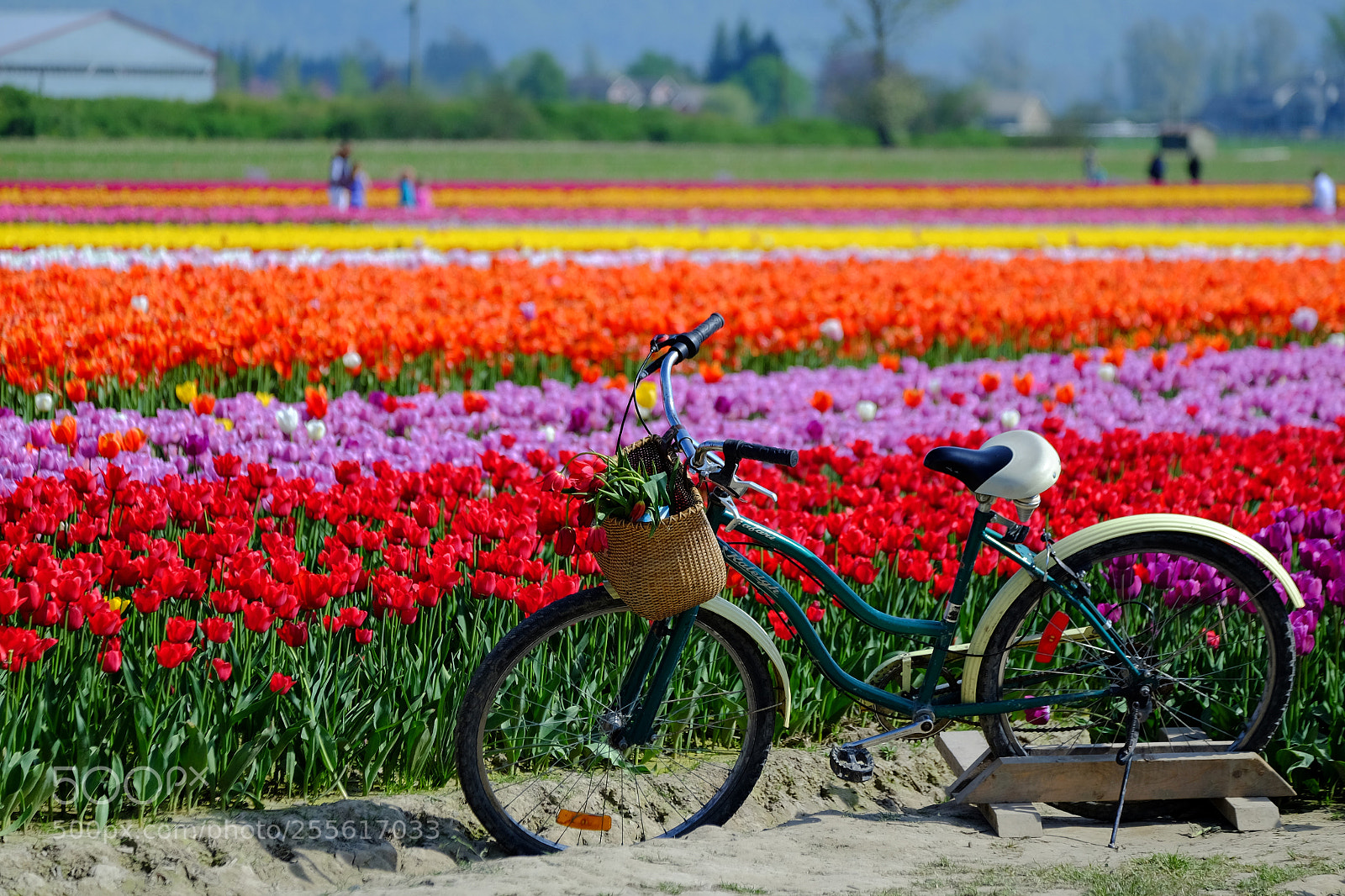 Fujifilm X-T1 sample photo. Take a ride to photography