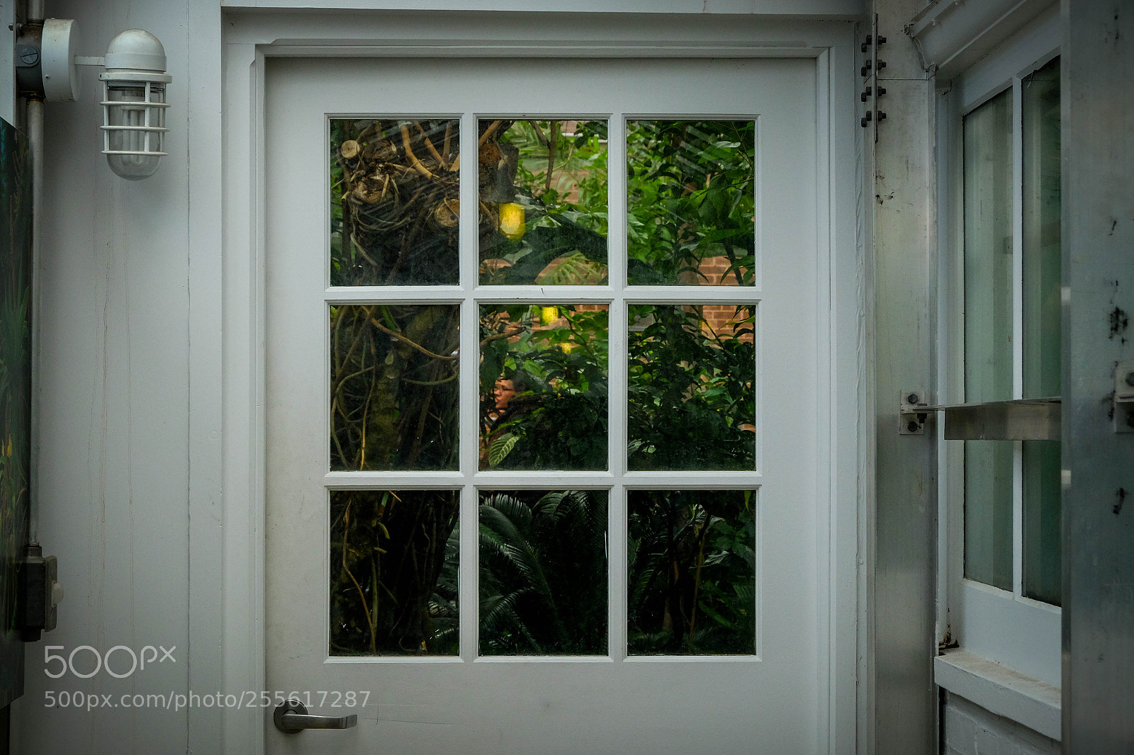 Fujifilm X-T10 sample photo. 2018 - jim timko photography