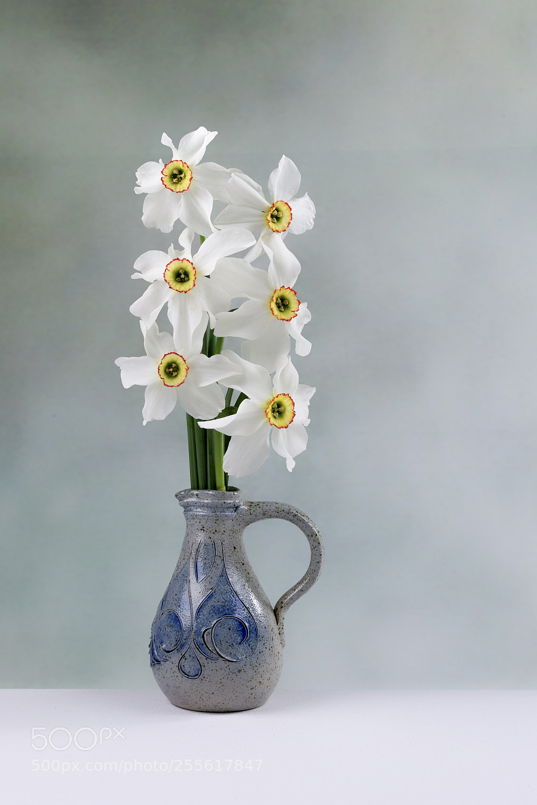 Nikon D600 sample photo. Narcisses photography