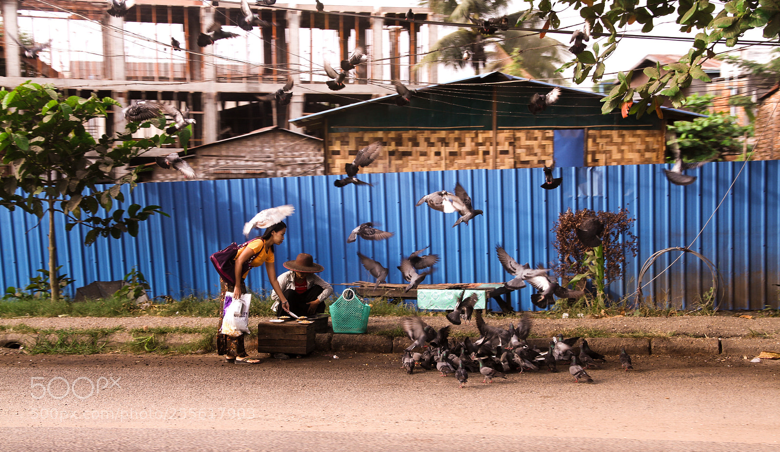 Canon EOS 7D sample photo. Feeding pigeons photography