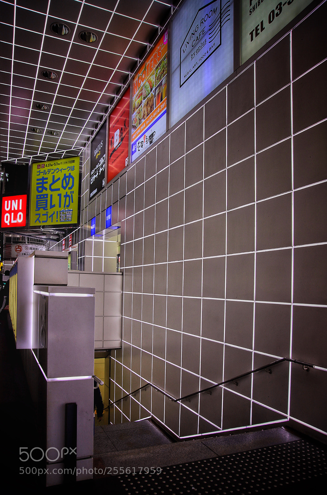 Canon EOS 6D Mark II sample photo. Shibuya stairs photography