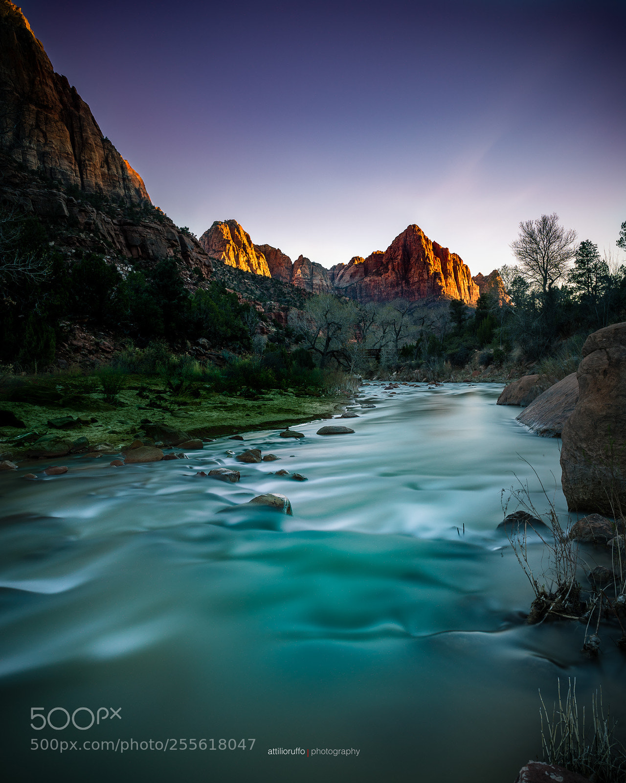 Nikon D810 sample photo. The watchman photography