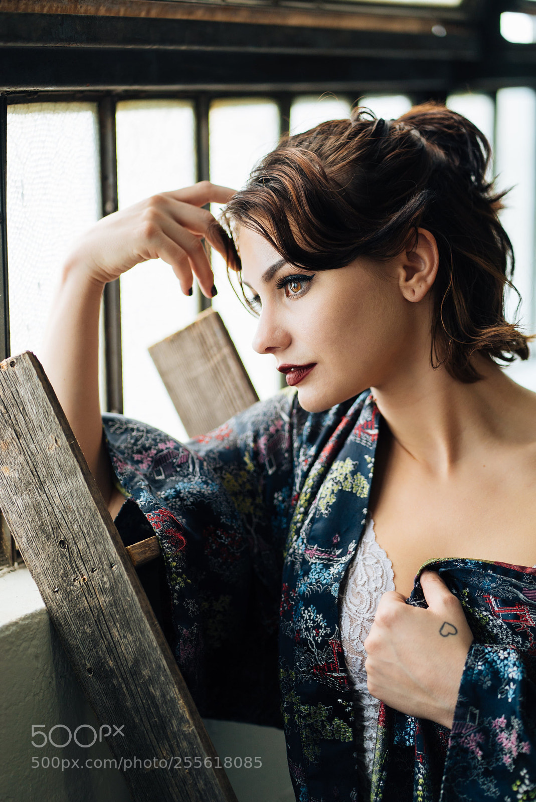 Sony a7S sample photo. Meeko photography