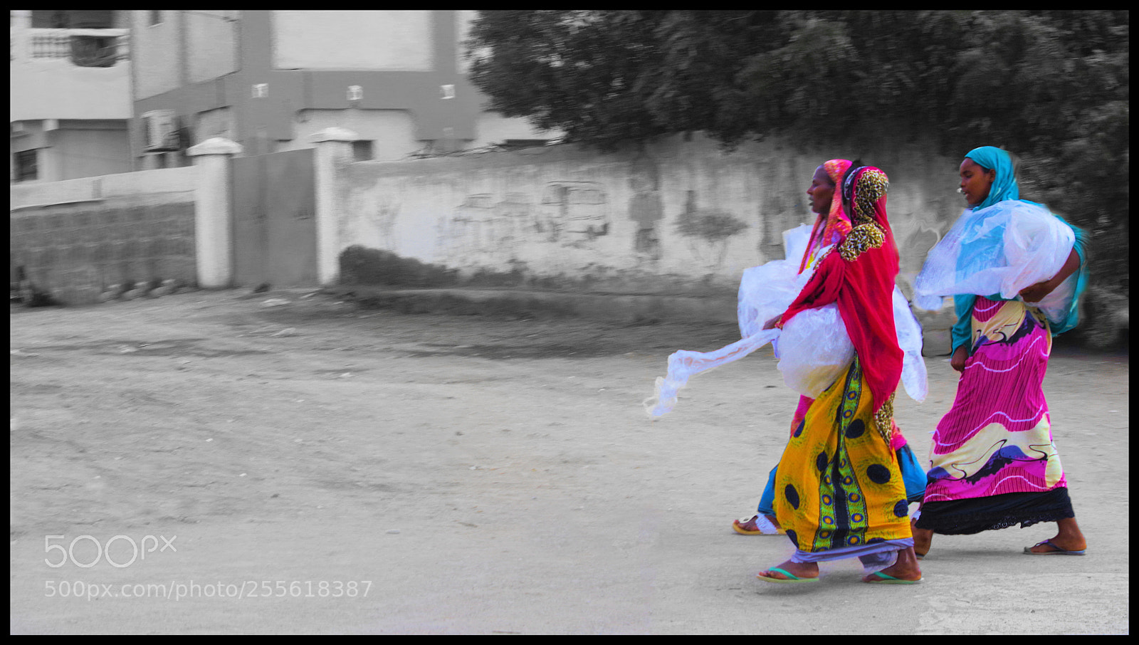 Pentax K-1 sample photo. Gone for a stroll photography