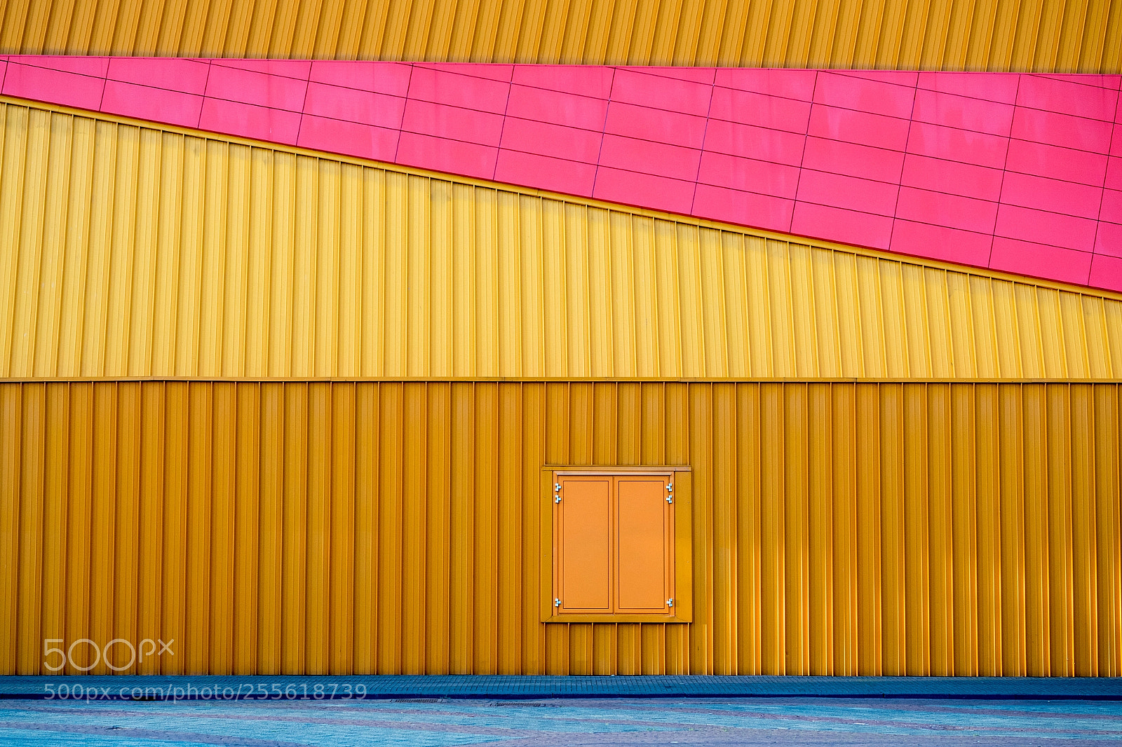 Olympus OM-D E-M5 II sample photo. Pink, yellow and blue photography