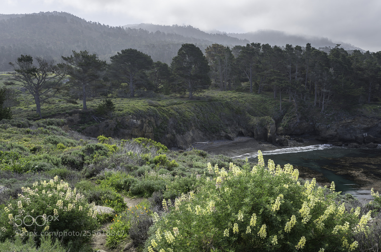 Sony a99 II sample photo. Granite point photography