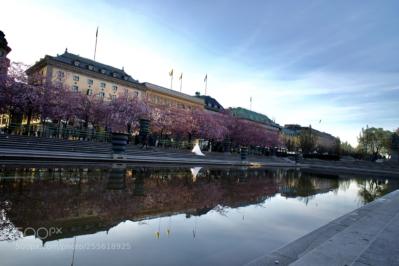 Sony a7R II sample photo. Stockholm (kungsträdgården) photography